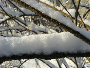 Sneeuwval in Polen